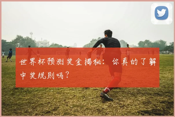 世界杯预测奖金揭秘:你真的了解中奖规则吗?