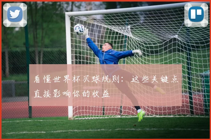 看懂世界杯买球规则：这些关键点直接影响你的收益