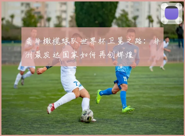 南非橄榄球队世界杯卫冕之路：非洲最发达国家如何再创辉煌